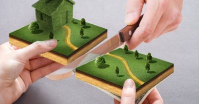 Раздел земли