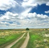 Договора