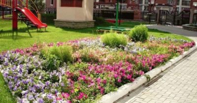 Придомовая территория